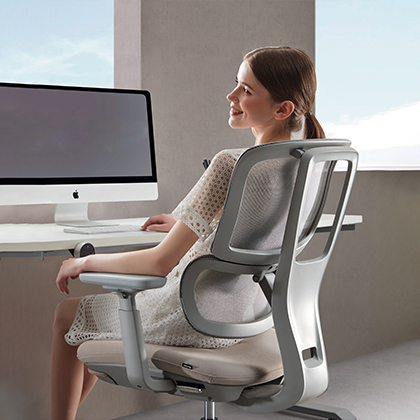 H2 Ergonomic Chair